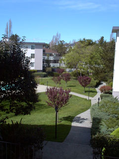 Landscaped Grounds